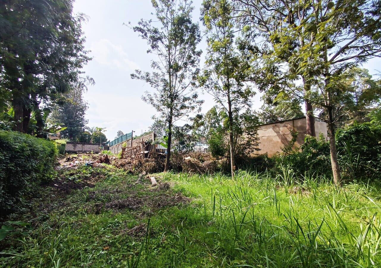 KSh 350K Office Space with Garden