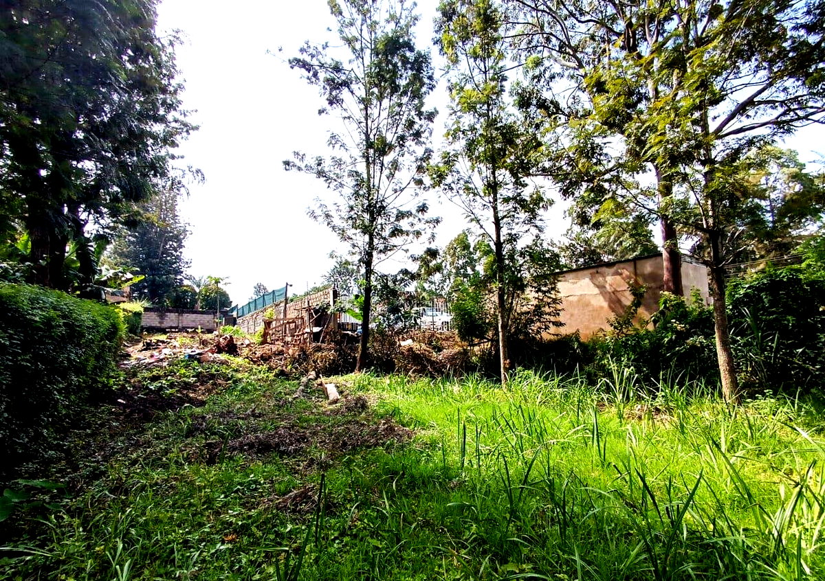 KSh 350K Office Space with Garden