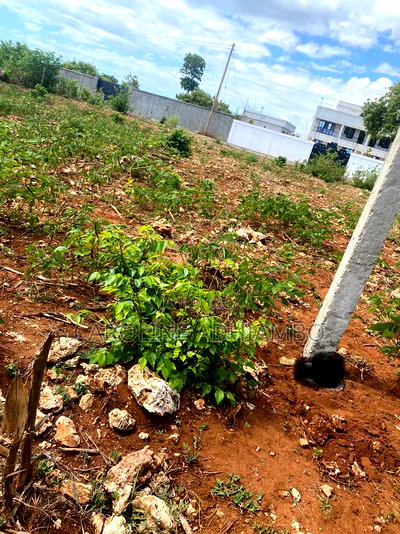 50/100 3rd Beach Plot Bofa Kilifi - Image 4