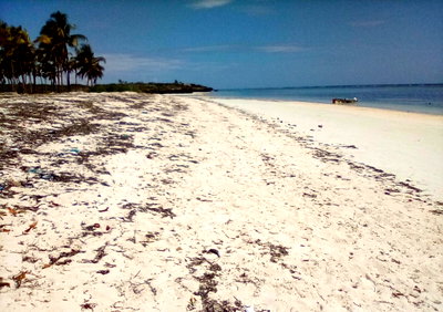 5-Acre Oceanfront Plot for KSh 150M
