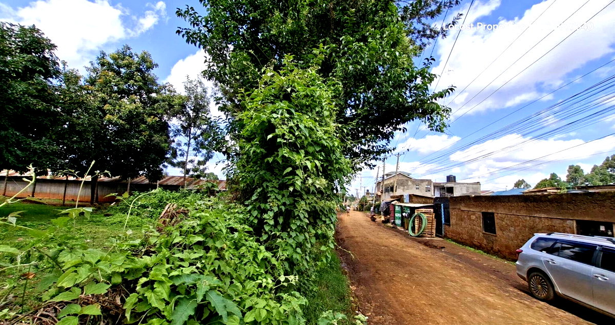 Quarter Acre Plot in Kinoo
