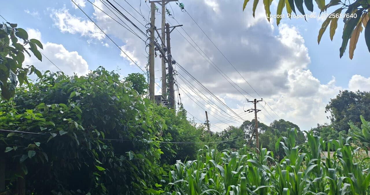 Quarter Acre Plot in Kinoo