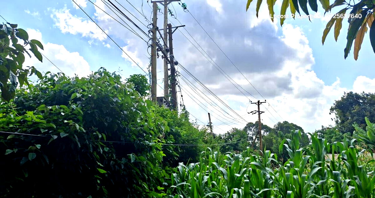Quarter Acre Plot in Kinoo
