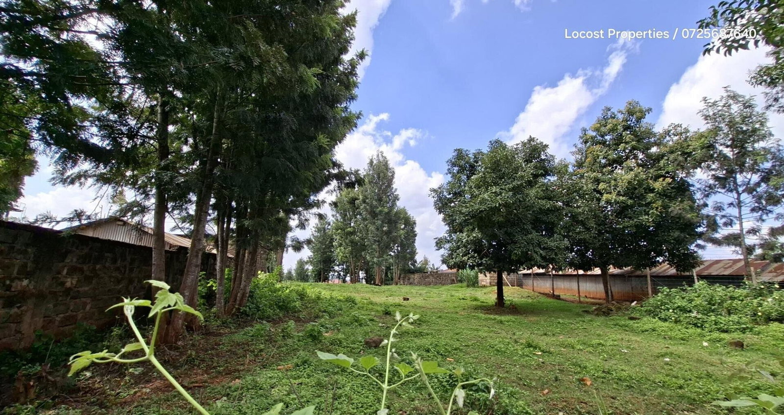 Quarter Acre Plot in Kinoo