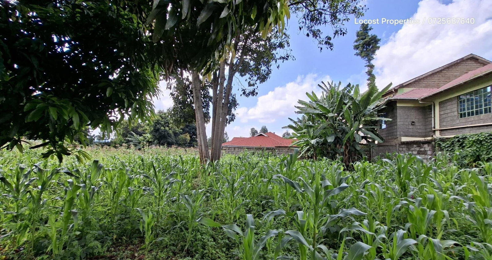 Quarter Acre Plot in Kinoo