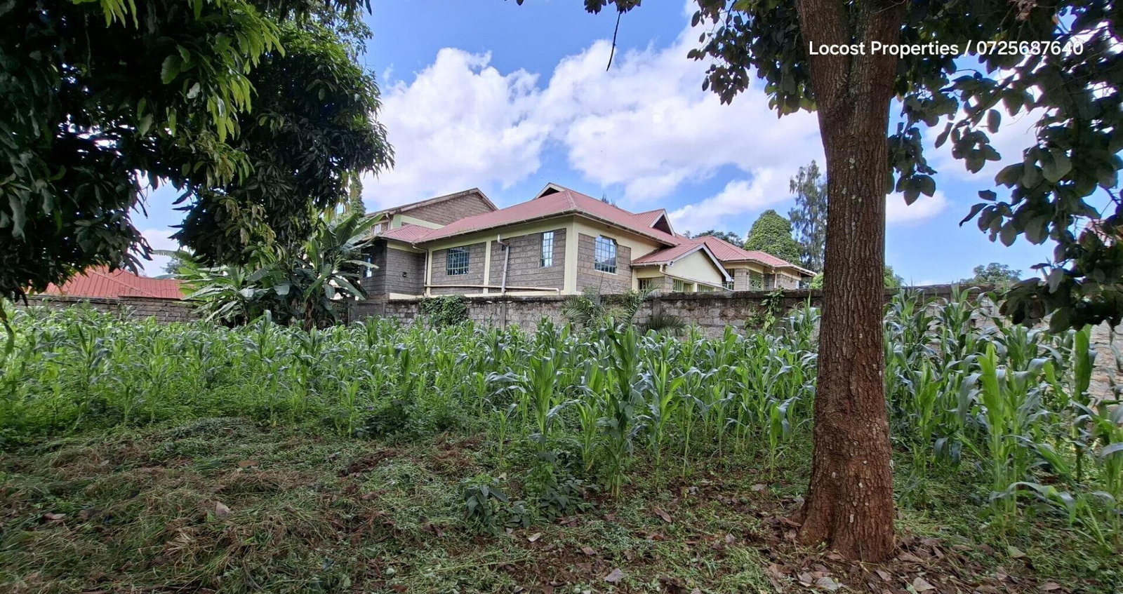 Quarter Acre Plot in Kinoo