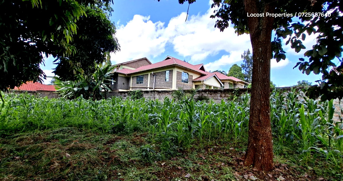Quarter Acre Plot in Kinoo