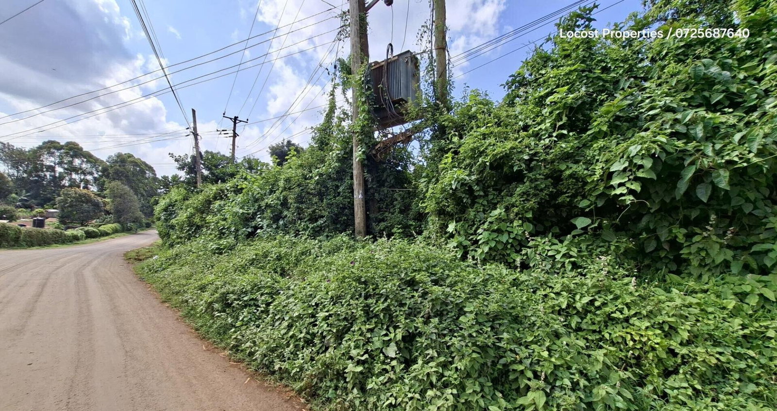 Quarter Acre Plot in Kinoo