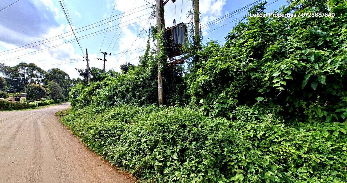 Quarter Acre Plot in Kinoo