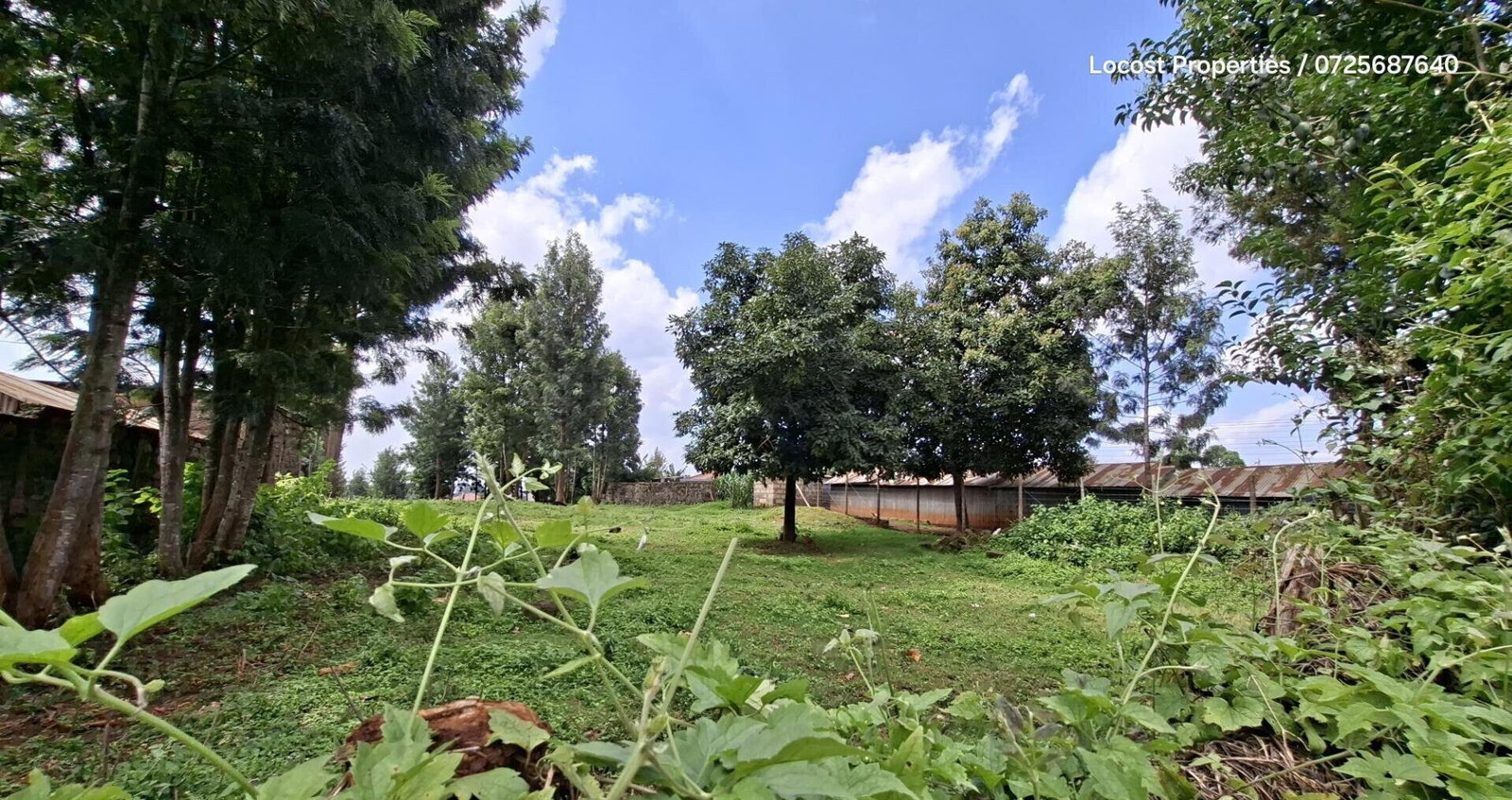 Quarter Acre Plot in Kinoo