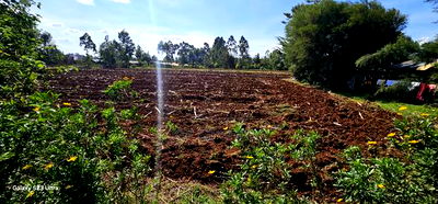 3 Acres for Sale in Baharini Chemalal Eldoret - Image 3