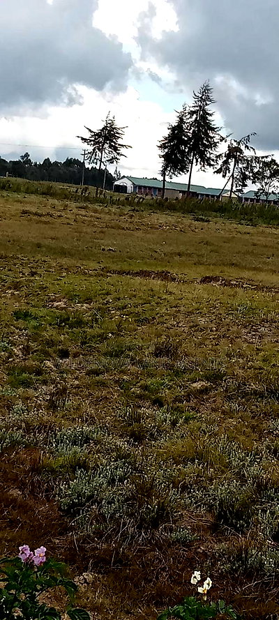 Plot on Sale at Magumu Kinangop - Image 4