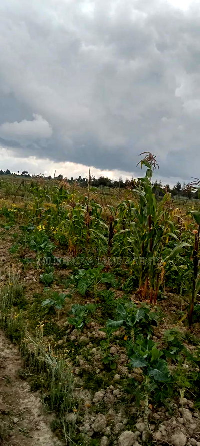 Plot on Sale at Magumu Kinangop - Image 1