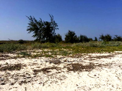 2.5 Acres Land at Mayungu in Watamu - Image 3