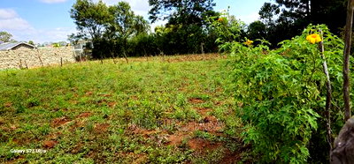 Prime Commercial Plot for Sale in Kimumu Perisin Eldoret - Image 3