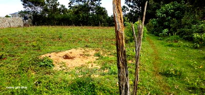 Prime Commercial Plot for Sale in Kimumu Perisin Eldoret - Image 7