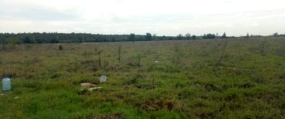 10-Acre Karen Gem at KSh 70M