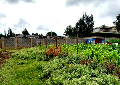 KSh 2.4M Plot in Ngong