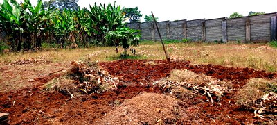 6bdrm Villa in Cianda for sale - Image 5