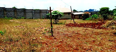 6bdrm Villa in Cianda for sale - Image 6