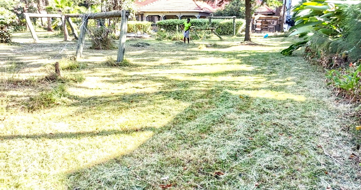 Gated 0.8 Acre Plot with Garden for KSh 200M
