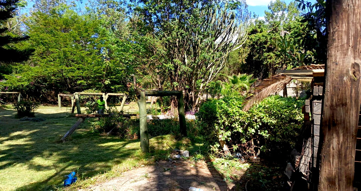 Gated 0.8 Acre Plot with Garden for KSh 200M