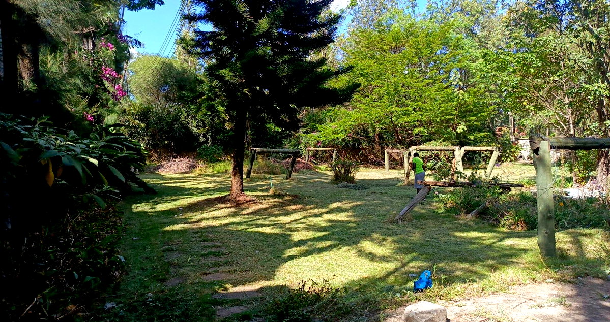 Gated 0.8 Acre Plot with Garden for KSh 200M