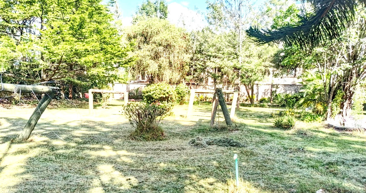 Gated 0.8 Acre Plot with Garden for KSh 200M