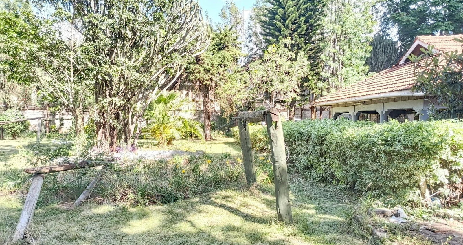 Gated 0.8 Acre Plot with Garden for KSh 200M