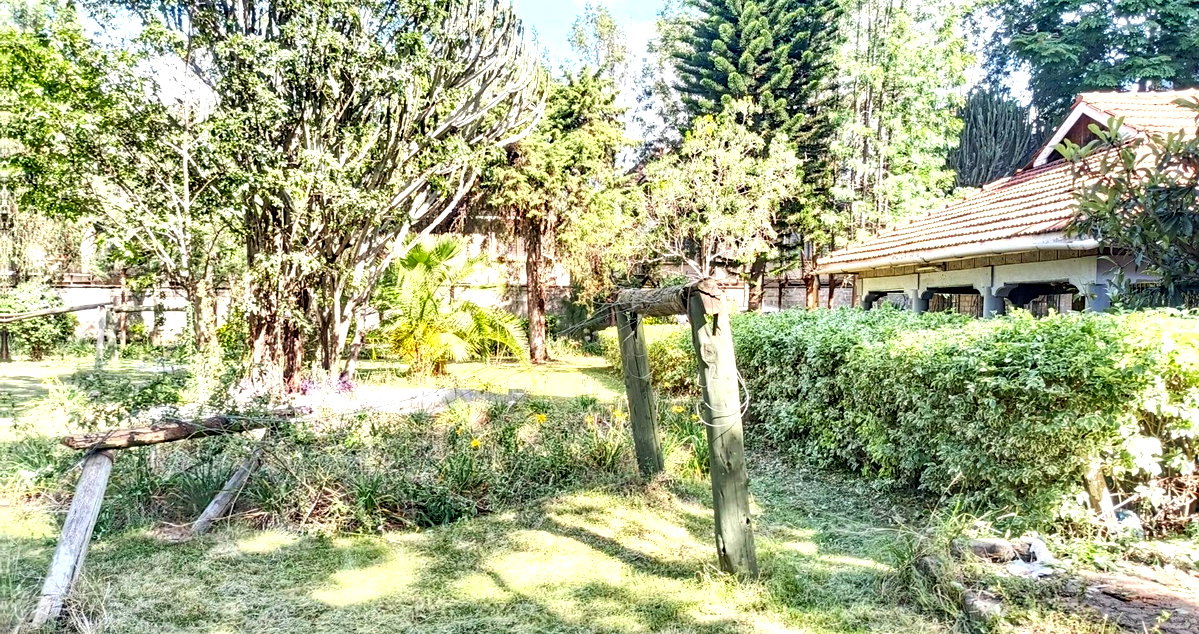 Gated 0.8 Acre Plot with Garden for KSh 200M