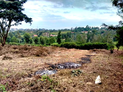 Residential Eighth Acre Plot in Ngong, Matasia Kayiapa Area - Image 3
