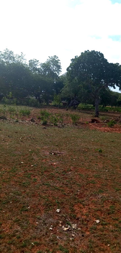 1 Acre Kilifi Plot for KSh 7M