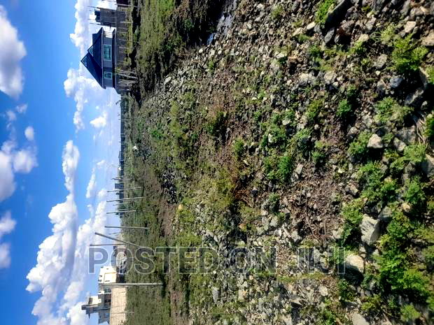 Plots in Silicon Valley