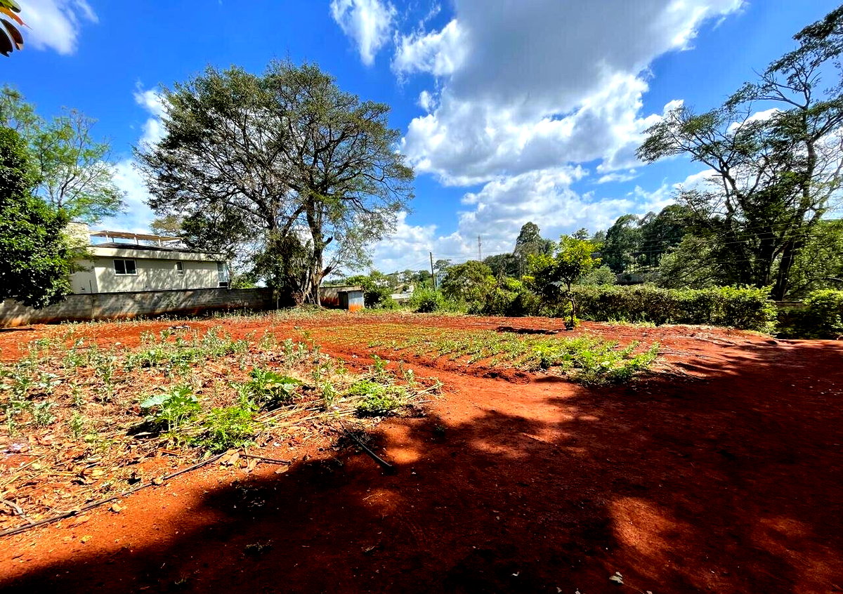 3/4 Acre Plot at KSh 60M