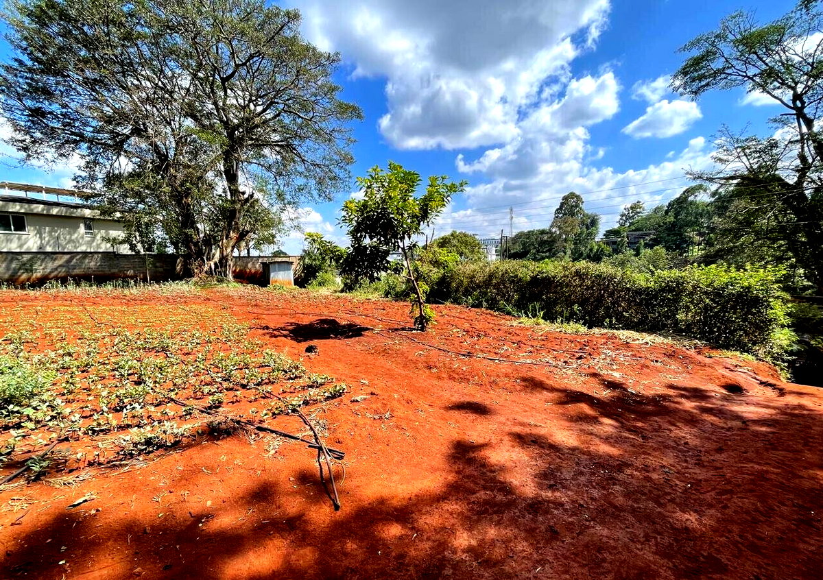 3/4 Acre Plot at KSh 60M