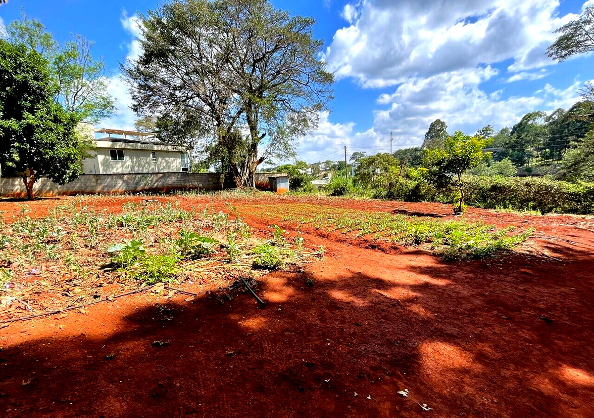 3/4 Acre Plot at KSh 60M