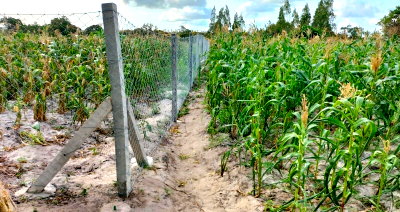 2-Acre Garden Plot for KSh 3.3M