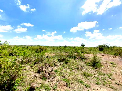 Juja Prime Land for Sale - Image 8