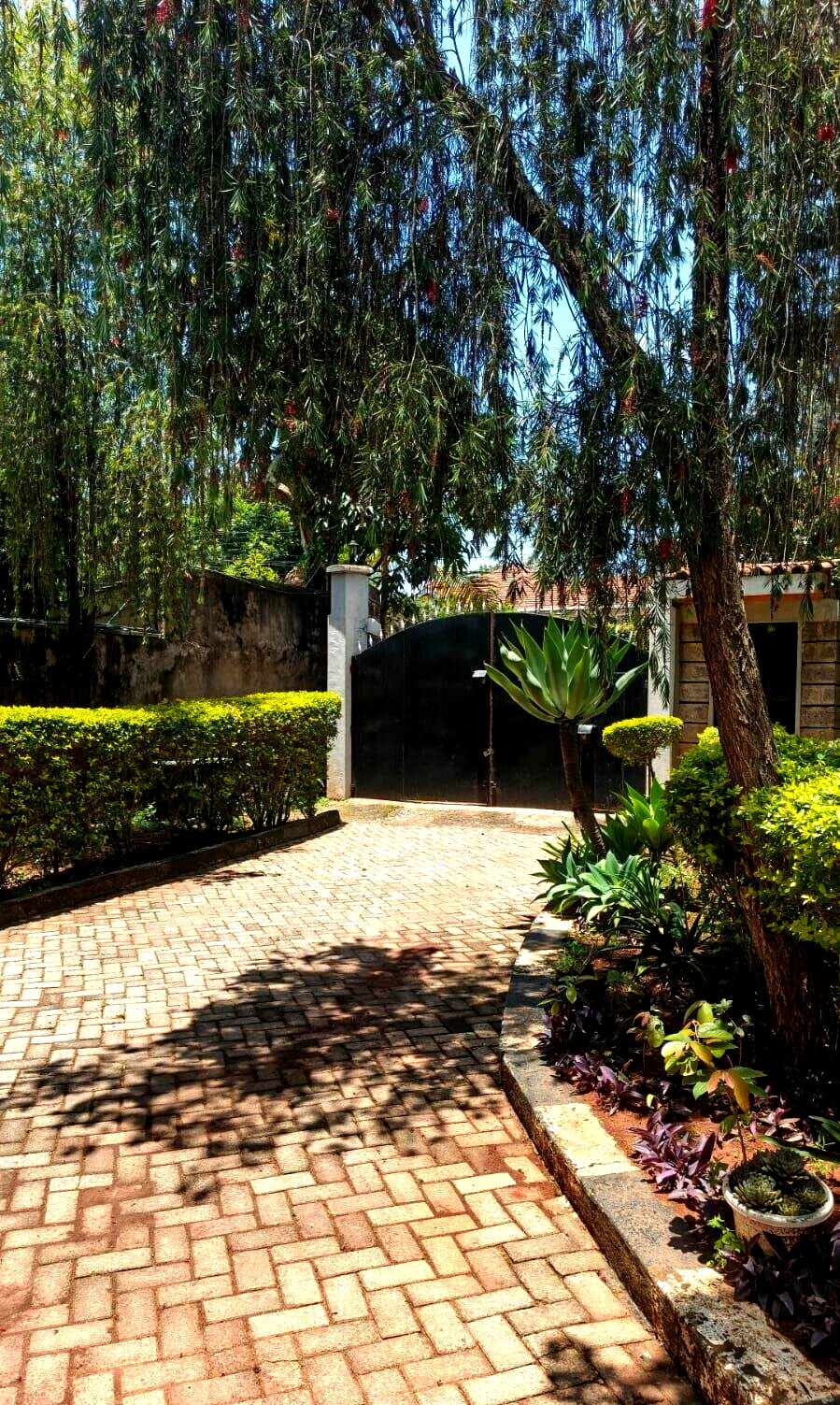 Half Acre 5BR Garden Home at KSh 250K