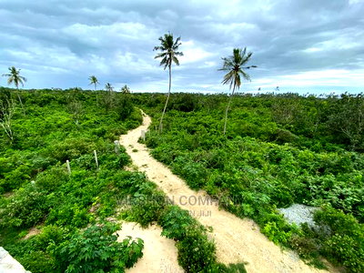 Land for Sale in Diani Kinondo - Image 4