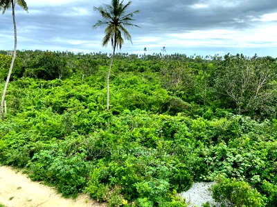 Land for Sale in Diani Kinondo - Image 11