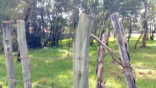 One Acre Elgonview With Title