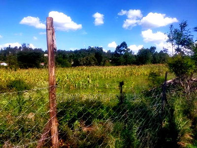 1/8 Acre Prime Plot's Olkeri, Ngong - Image 3
