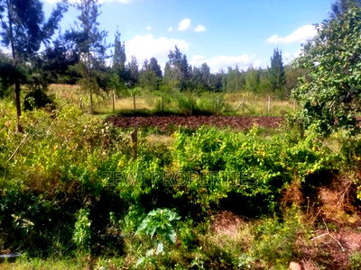 1/8 Acre Prime Plot's Olkeri, Ngong - Image 1