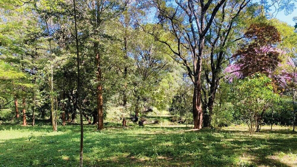 1.6-Acre Karen Plot at KSh 120M