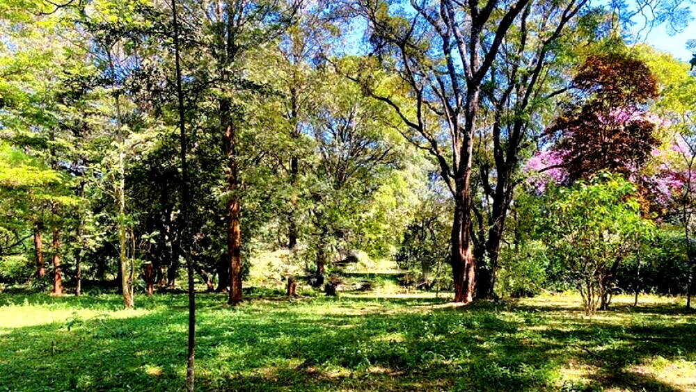 1.6-Acre Karen Plot at KSh 120M