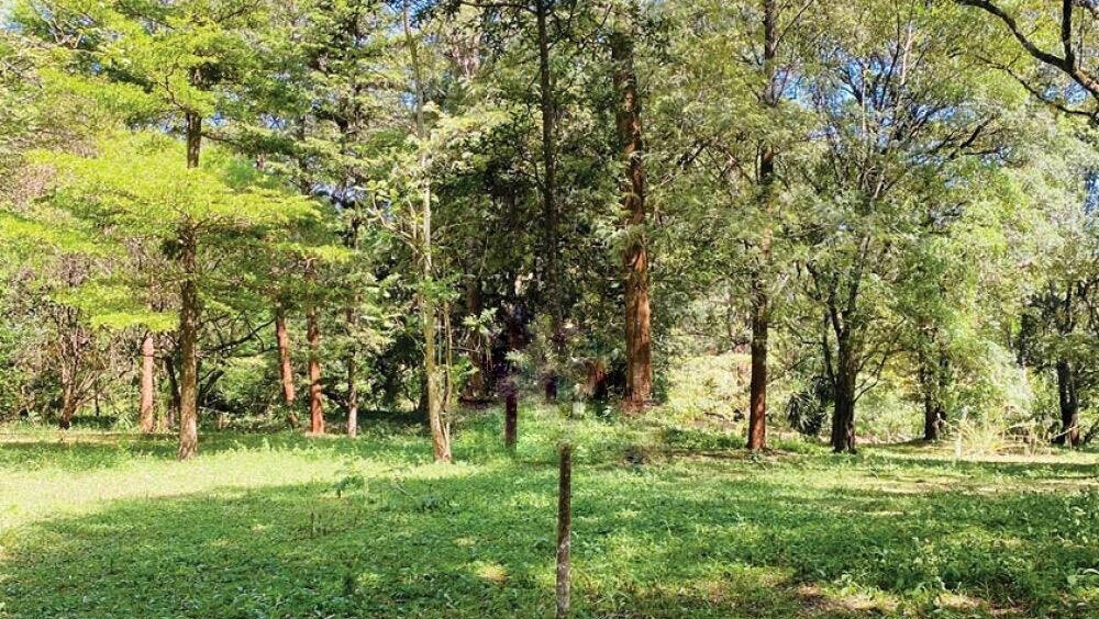 1.6-Acre Karen Plot at KSh 120M
