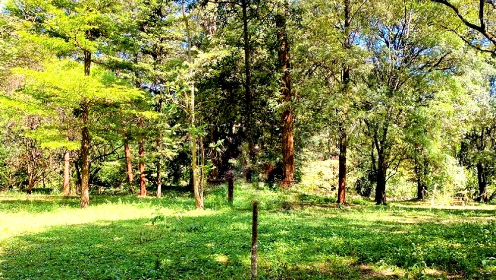 1.6-Acre Karen Plot at KSh 120M