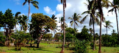 1bdrm House in Tel Avivi City, Malindi for rent - Image 13