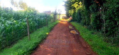 Quick Sale 1/4 Plot For Sale In Kimumu Eldoret - Image 4